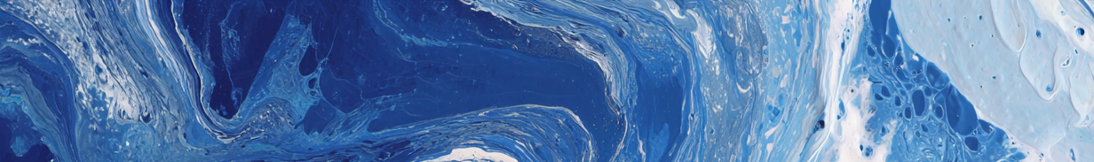 Decorative image divider for Real Property Captive Insurance content